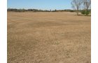 Property photo 56 - 110+/- Acres offered in 4 Tillable Tracts